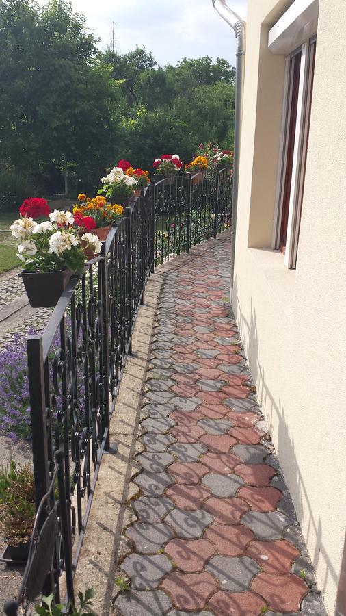 Zempleni Vendeghaz Hotel Erdőbénye Buitenkant foto