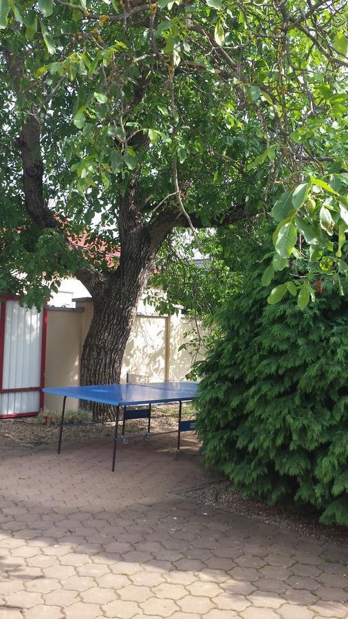 Zempleni Vendeghaz Hotel Erdőbénye Buitenkant foto